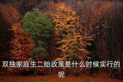 上海市雙獨政策何時實施，雙獨生二胎政策什么時候開始的
