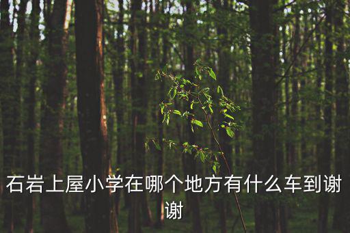 石巖上屋小學在哪個地方有什么車到謝謝