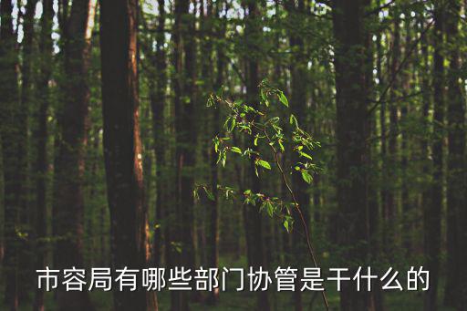市容局有哪些部門協管是干什么的