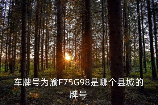 重慶市忠縣車牌號，請問忠縣的汽車號牌是渝FM 嗎