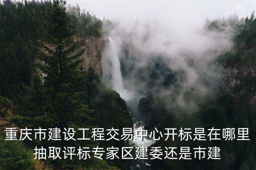 重慶市建設(shè)工程交易中心開標(biāo)是在哪里抽取評標(biāo)專家區(qū)建委還是市建