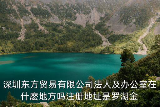 深圳東方貿易有限公司法人及辦公室在什麼地方嗎注冊地址是羅湖金