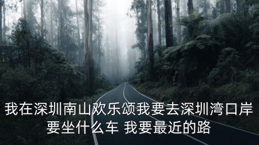 我在深圳南山歡樂(lè)頌我要去深圳灣口岸要坐什么車 我要最近的路