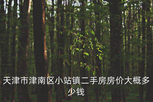 天津市津南區小站鎮二手房房價大概多少錢