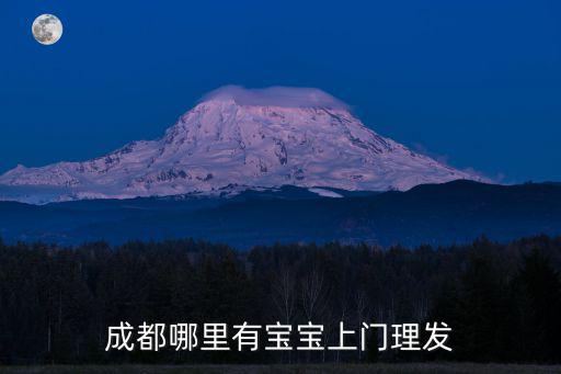 成都哪里有寶寶上門理發