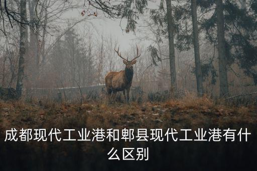 成都市陸港，成都現(xiàn)代工業(yè)港和郫縣現(xiàn)代工業(yè)港有什么區(qū)別