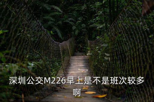 深圳公交M226早上是不是班次較多啊