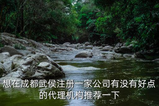 想在成都武侯注冊(cè)一家公司有沒有好點(diǎn)的代理機(jī)構(gòu)推薦一下