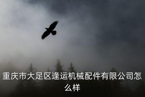 重慶市大足區逢運機械配件有限公司怎么樣