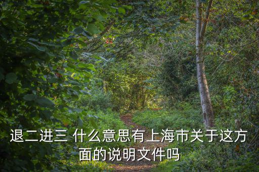 上海市松江區退二進三，退二進三 什么意思有上海市關于這方面的說明文件嗎