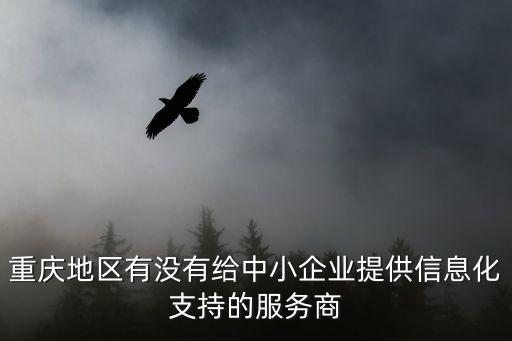 重慶地區有沒有給中小企業提供信息化支持的服務商