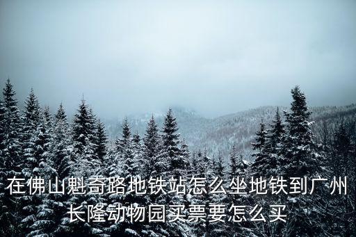 在佛山魁奇路地鐵站怎么坐地鐵到廣州長隆動物園買票要怎么買