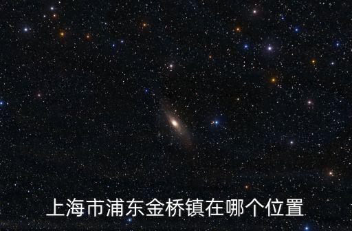 上海市浦東金橋鎮在哪個位置