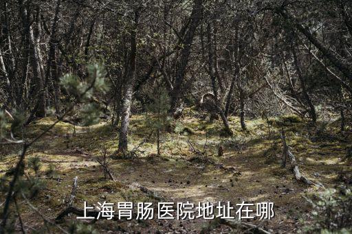 上海市楊浦區市東醫院腸道科，上海哪家胃腸科醫院最好是看胃腸哪里好長期腸胃炎怎么辦專家
