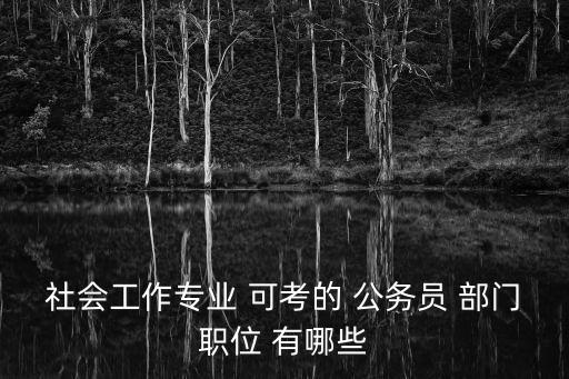 社會工作專業(yè) 可考的 公務(wù)員 部門職位 有哪些