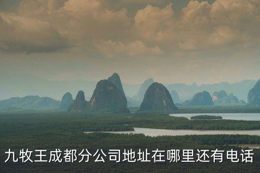 九牧王成都分公司地址在哪里還有電話