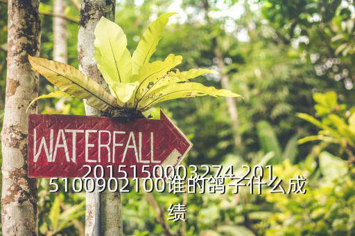 2015150003274 2015100902100誰的鴿子什么成績