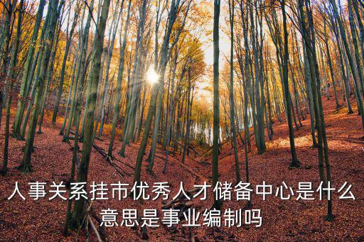 上海市優(yōu)秀大學(xué)生人才儲(chǔ)備計(jì)劃，上211大學(xué)直接進(jìn)入人才儲(chǔ)備了嗎