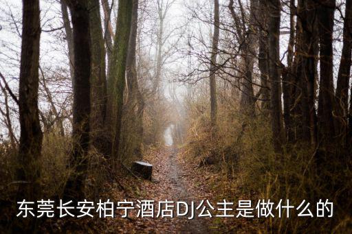 東莞長安柏寧酒店DJ公主是做什么的