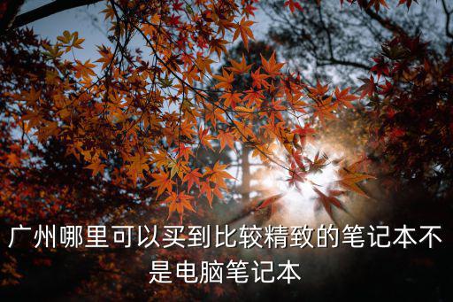廣州哪里可以買到比較精致的筆記本不是電腦筆記本