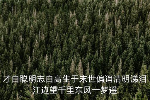 才自聰明志自高生于末世偏誚清明涕淚江邊望千里東風一夢遙