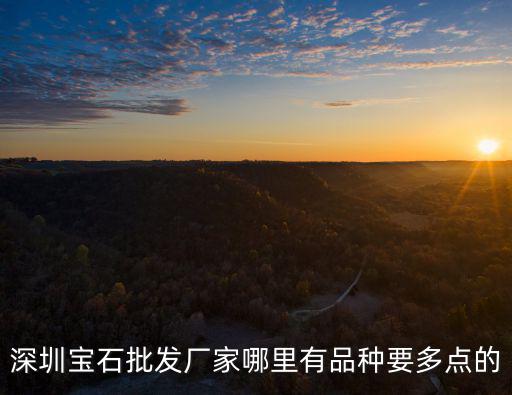 深圳寶石批發廠家哪里有品種要多點的