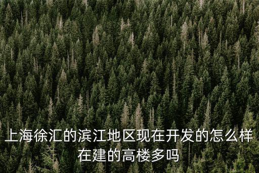 上海徐匯的濱江地區現在開發的怎么樣在建的高樓多嗎