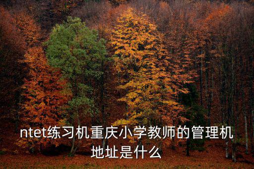 重慶市中小學教育裝備管理平臺，ntet練習機重慶小學教師的管理機地址是什么