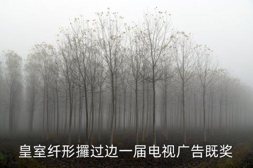 皇室纖形攞過邊一屆電視廣告既獎