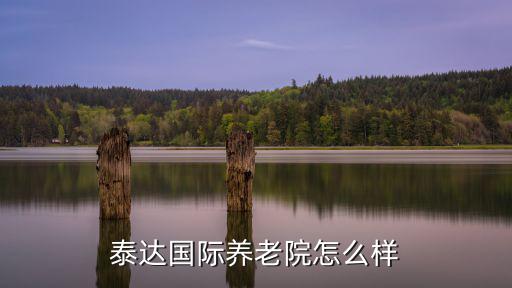 泰達國際養老院怎么樣
