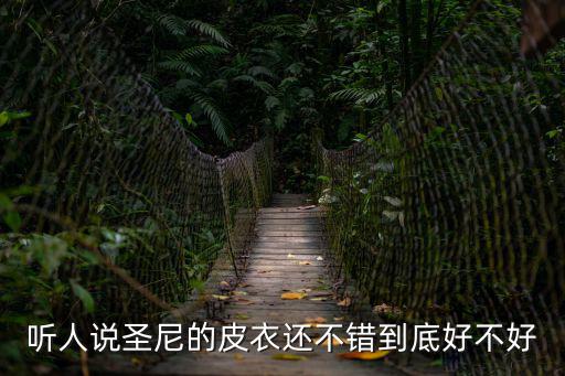 聽人說圣尼的皮衣還不錯到底好不好