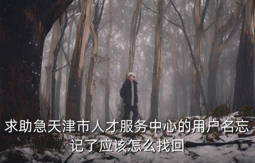 求助急天津市人才服務中心的用戶名忘記了應該怎么找回