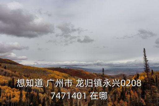 想知道 廣州市 龍歸鎮永興02087471401 在哪