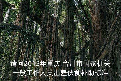請問2013年重慶 合川市國家機關一般工作人員出差伙食補助標準