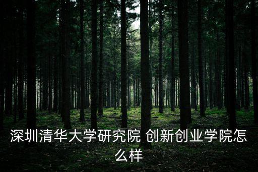 深圳清華大學(xué)研究院 創(chuàng)新創(chuàng)業(yè)學(xué)院怎么樣