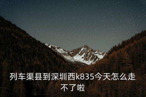 列車渠縣到深圳西k835今天怎么走不了啦