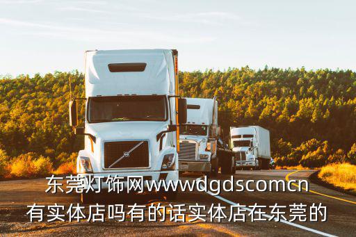 東莞燈飾網wwwdgdscomcn有實體店嗎有的話實體店在東莞的