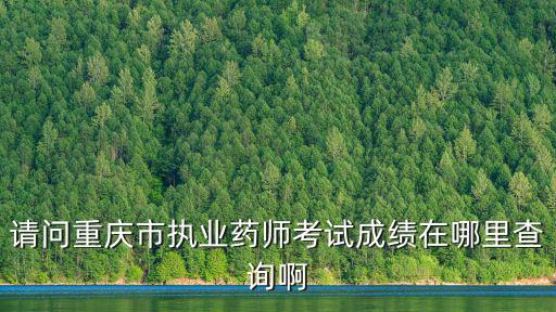 重慶市執(zhí)業(yè)藥師成績?nèi)肟冢?qǐng)問重慶市執(zhí)業(yè)藥師考試成績?cè)谀睦锊樵儼?/></a></span><span id=