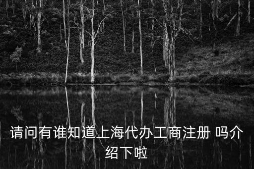 請問有誰知道上海代辦工商注冊 嗎介紹下啦