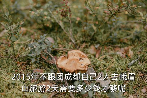 2018年成都市失信人員，2018年失信人員對孩子考大學(xué)的影響