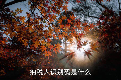 重慶市電子稅務局證書編碼，龍山稅友 網上電子報稅系統中的注冊編碼是什么