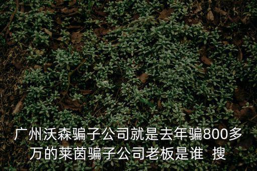 廣州沃森騙子公司就是去年騙800多萬的萊茵騙子公司老板是誰  搜
