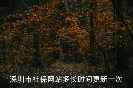 深圳市社保網站多長時間更新一次