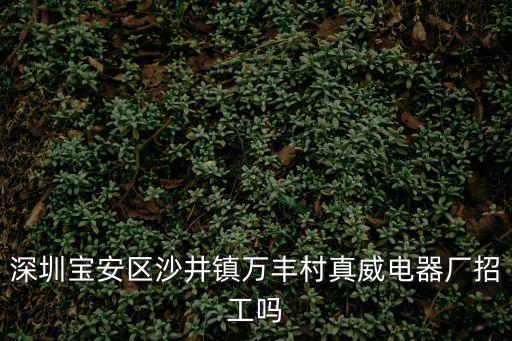 深圳寶安區(qū)沙井鎮(zhèn)萬豐村真威電器廠招工嗎