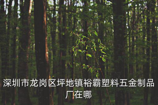 深圳市龍崗區坪地鎮裕霸塑料五金制品廠在哪