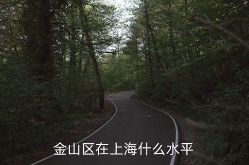 金山區在上海什么水平