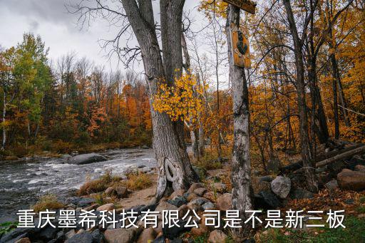 重慶墨希科技有限公司是不是新三板