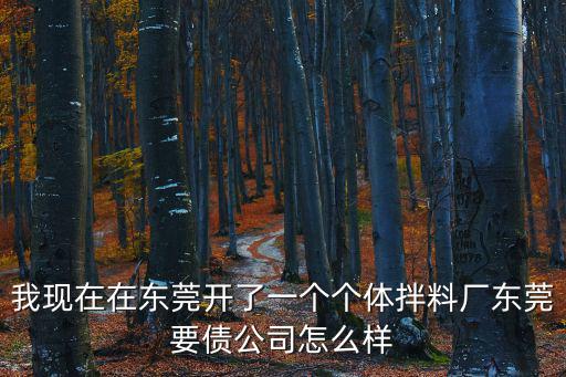 我現(xiàn)在在東莞開了一個(gè)個(gè)體拌料廠東莞要債公司怎么樣