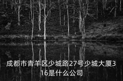 成都市大峰臺科技有限公司，成都市青羊區少城路27號少城大廈316是什么公司