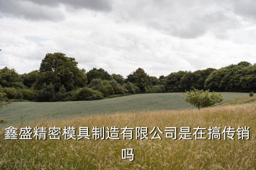 鑫盛精密模具制造有限公司是在搞傳銷嗎